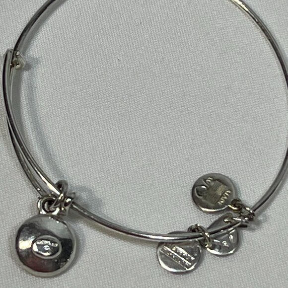 Alex and Ani Silver July Birthstone Ruby Bangle Bracelet - Picture 4 of 5